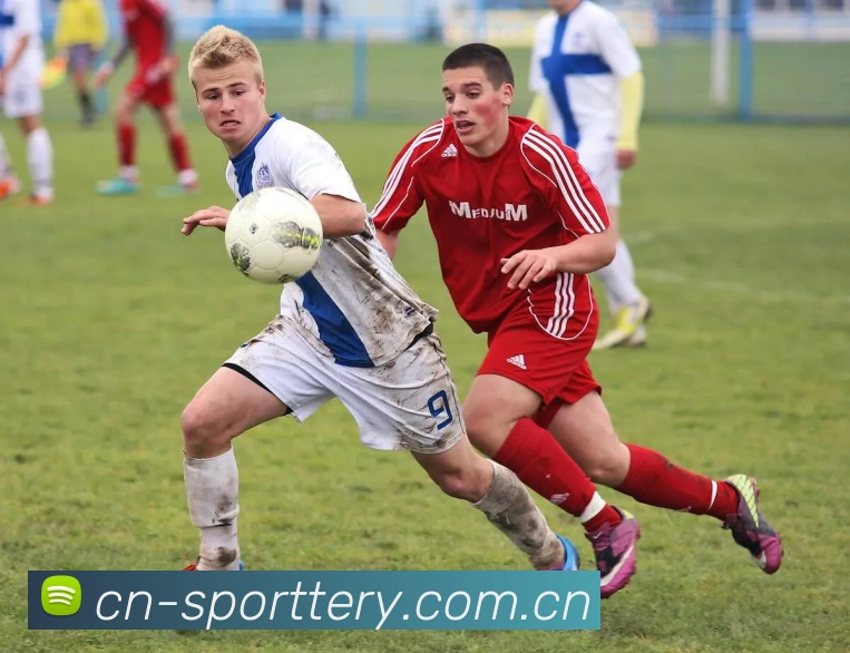 中国竞彩网服务体系